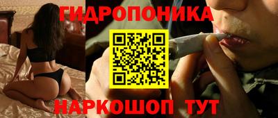 соль ск Лесосибирск