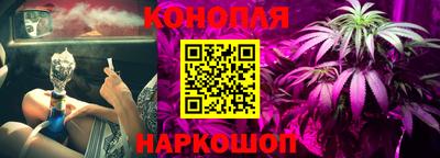 соль ск Лесосибирск